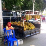 The Durian fruit: a love story